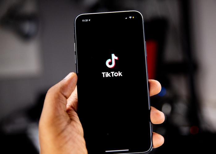 Tiktok Users Initiate Green Technology Life And Environmental Innovation 
