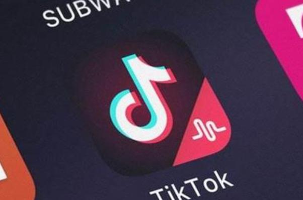 Tiktok Cooperates With Home Furnishing Brands And Promotes Life Aesthetics 