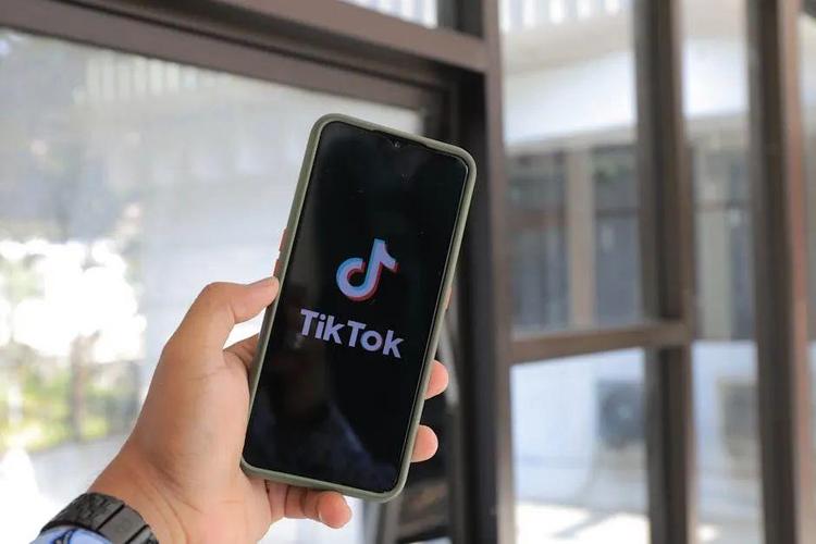 Research On The Future Of Tiktok Technology Products User Expectations 
