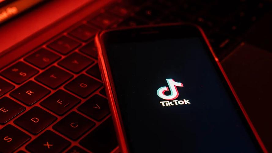 TikTok's Latest Report: The Rise of Niche Content Communities 