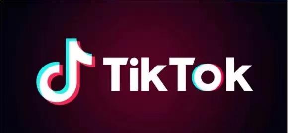 How TikTok's Platform Fosters Love for Animals 